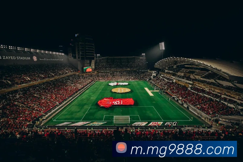 满贯体育APP 封面图